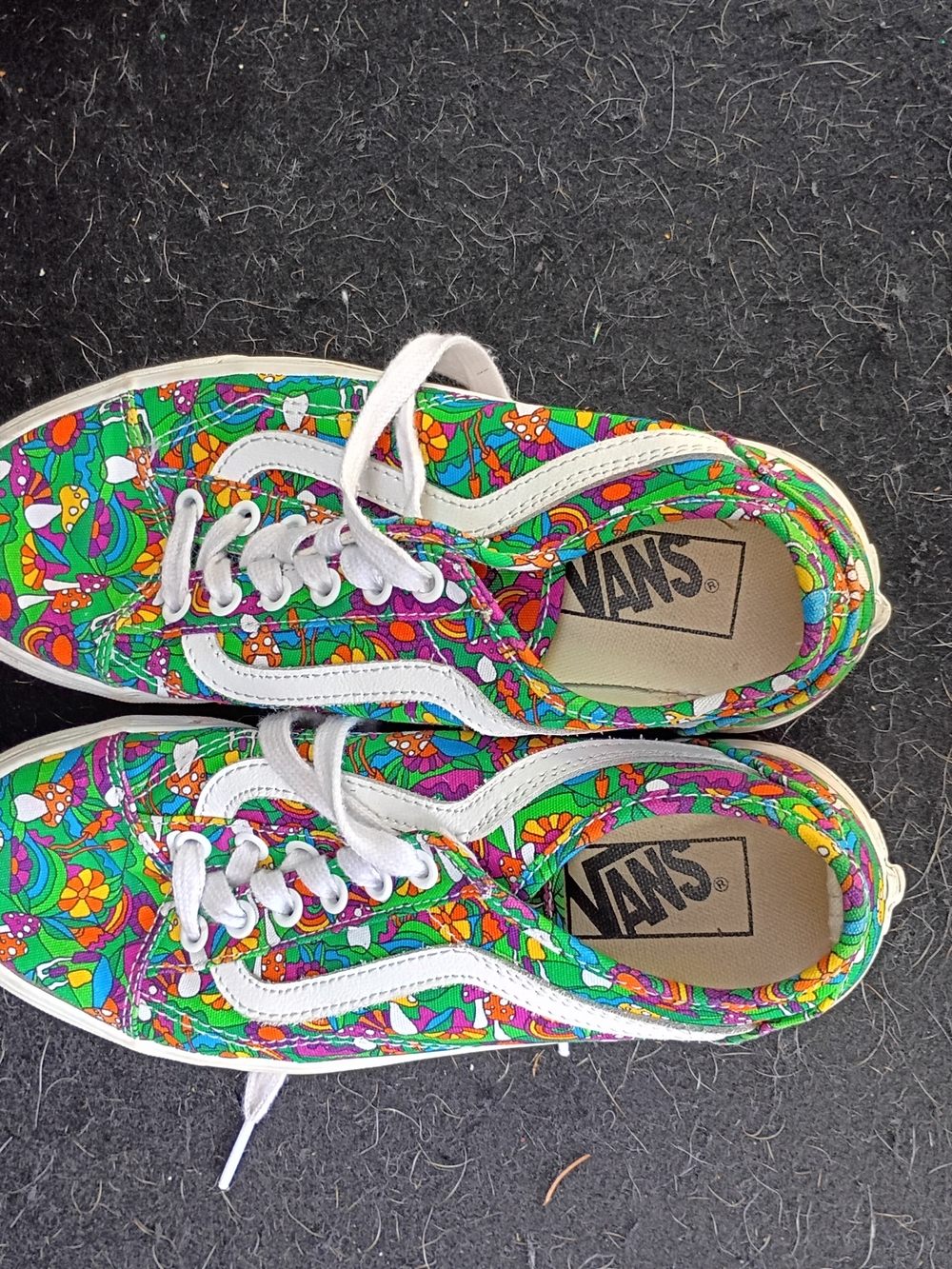 Vans Kids Floral Skate Sneakers in Multicolor
